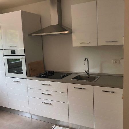 Apartment Safran Novigrad Istria エクステリア 写真