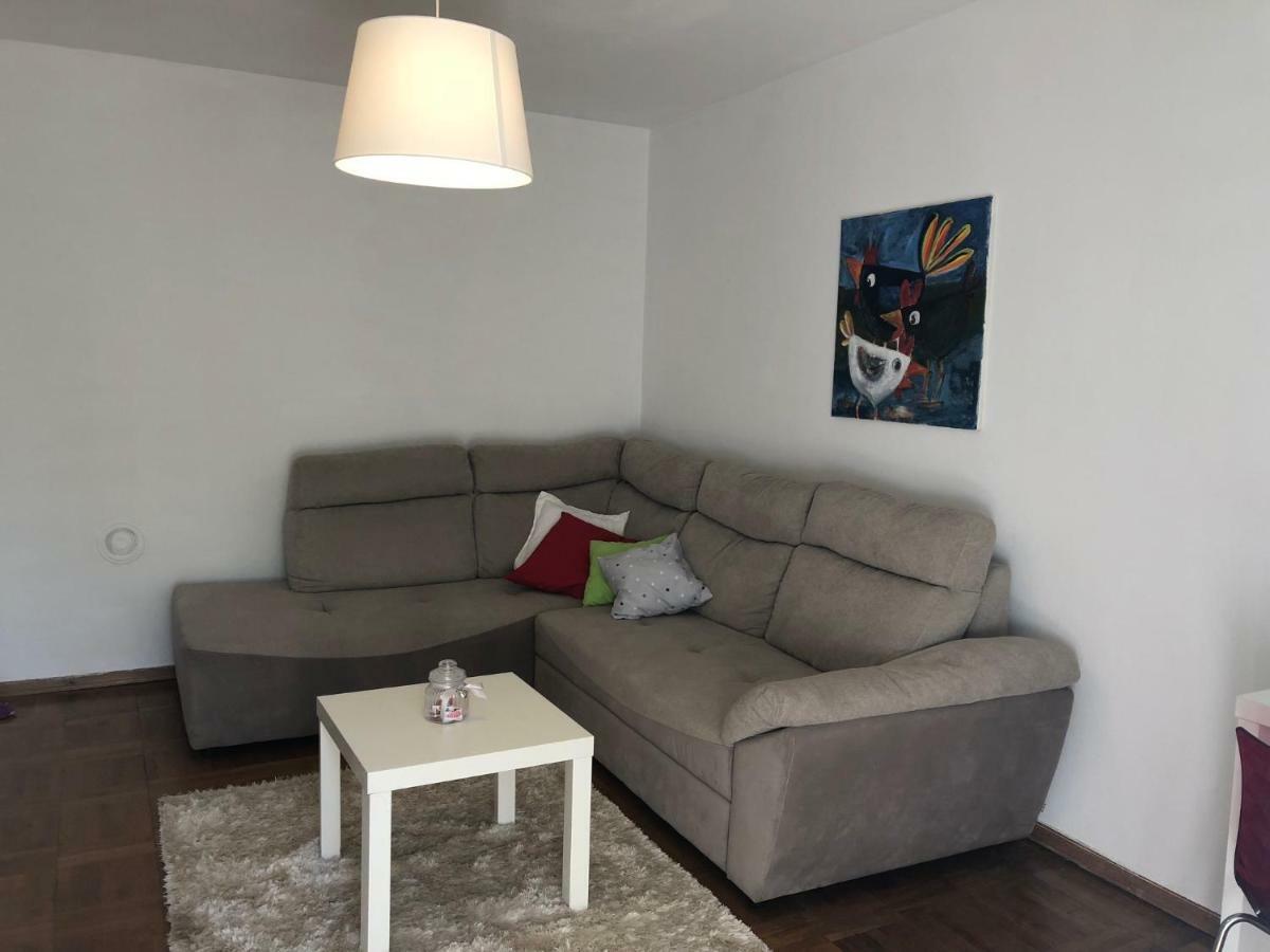 Apartment Safran Novigrad Istria エクステリア 写真